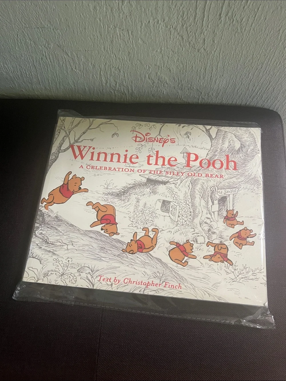 Disney charming winnie